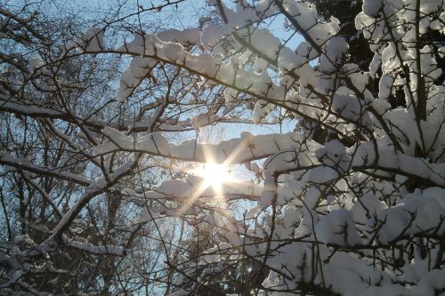 winter snow sun