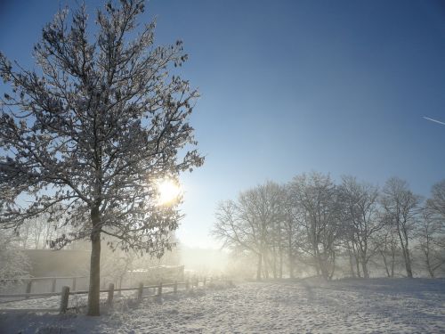 winter snow light