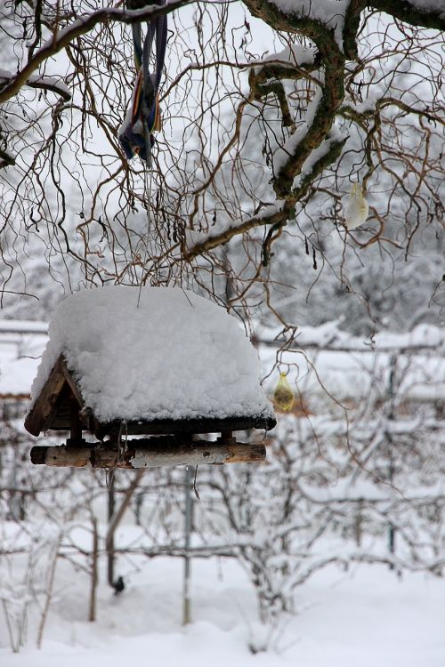 winter snow white