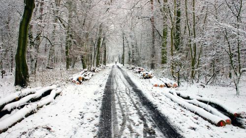 winter snow snow lane