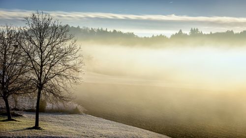 winter morning fog