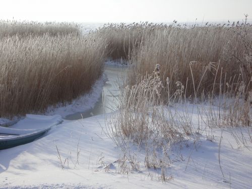 winter wintry bank