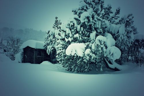 winter snow switzerland
