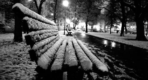 winter bench park