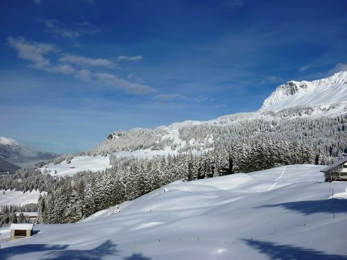 winter snow wintry