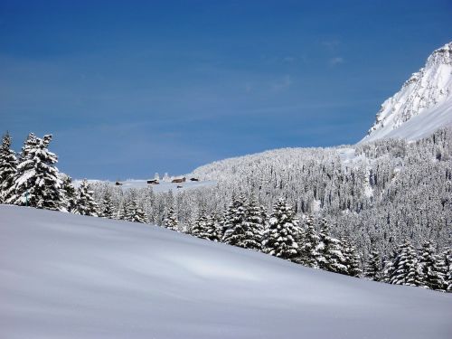 winter snow wintry