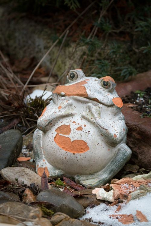 winter frog figure