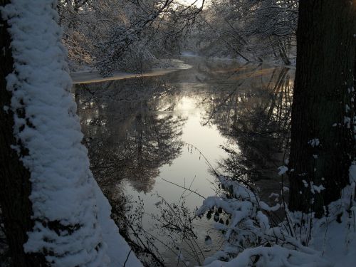 winter frost ice