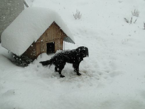 winter snow patagonia