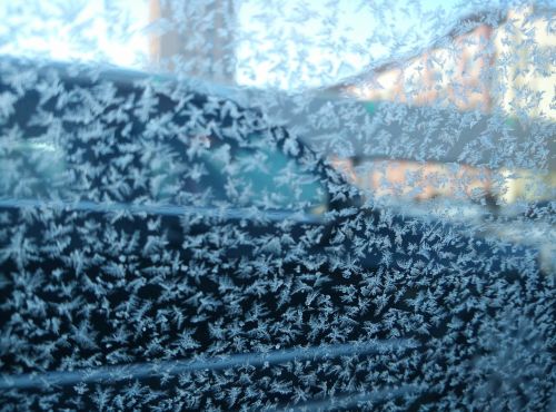 winter frost flower car window