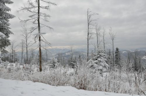 winter snow mountains