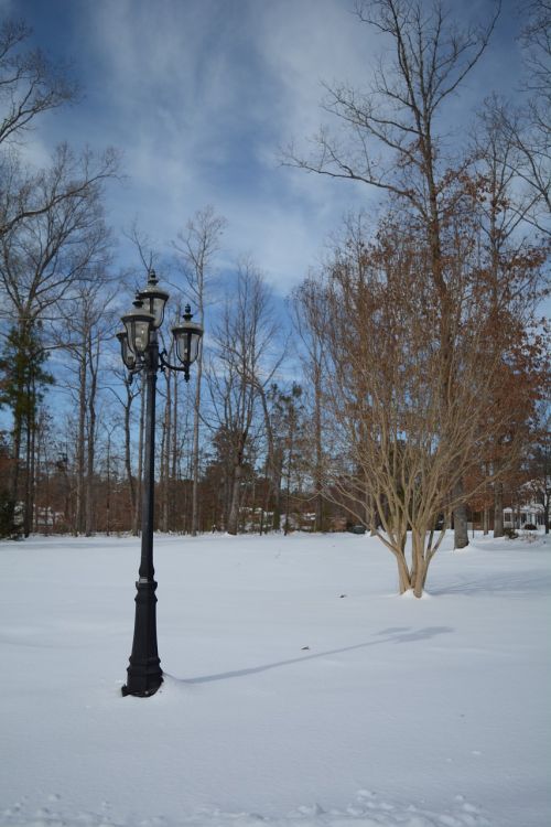 winter snow landscape