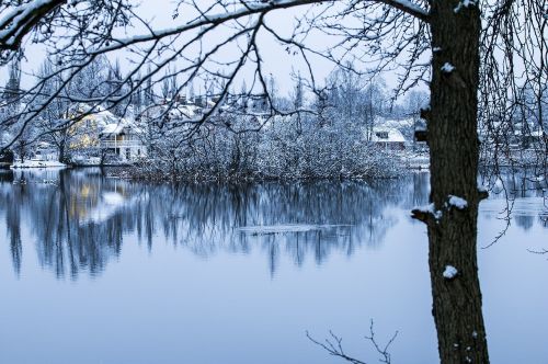 winter landscape snow