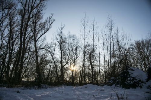 winter landscape snow