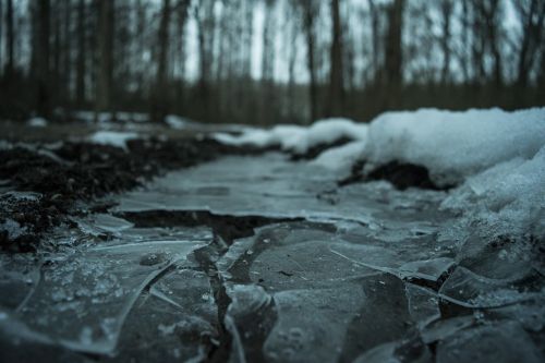 winter ice puddle