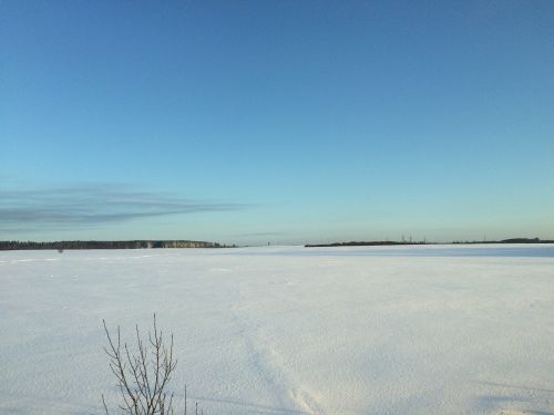 winter cold field