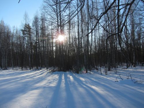 winter sunrise snow