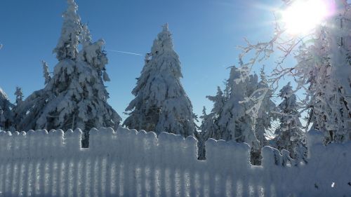 winter snow rest