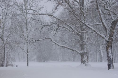 winter estonia snowing