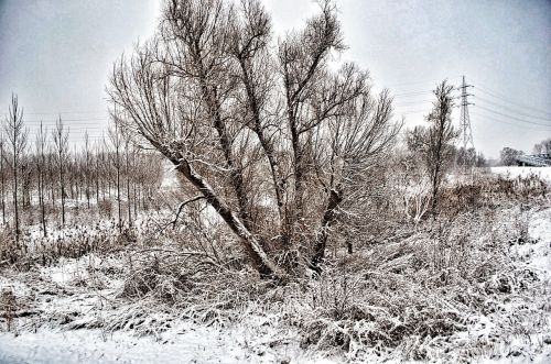 winter landscape nature