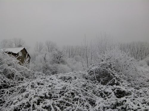 winter snow winter landscape