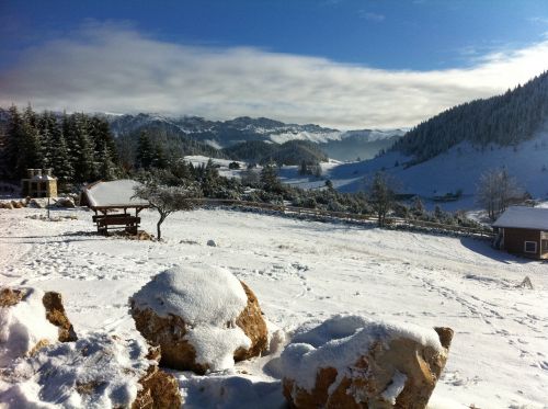 winter snow landscape