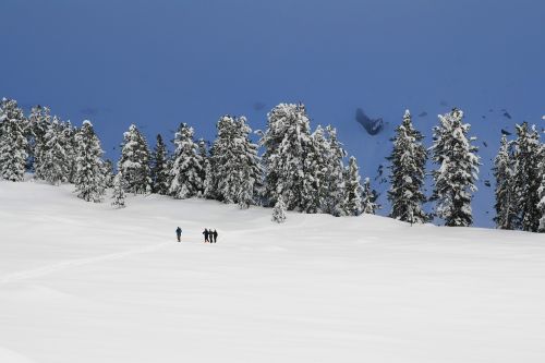 winter snow snowshoe