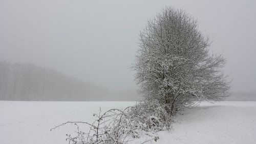 winter landscape snow