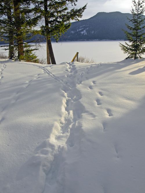 winter canim lake british columbia