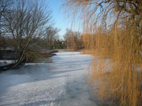 winter frost ice