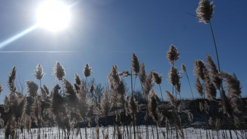 winter sun sky