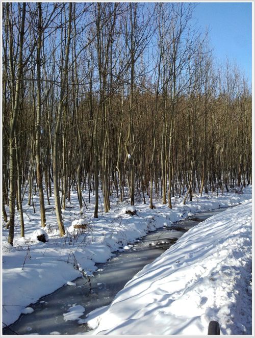 winter snow landscape