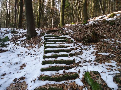 winter stairs forest