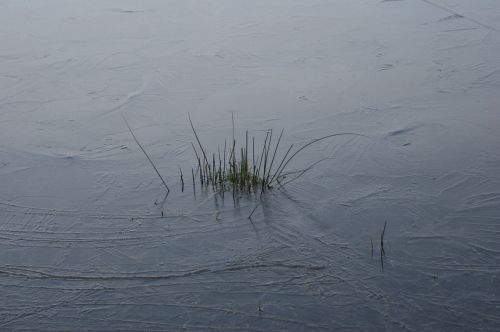 winter frozen ice