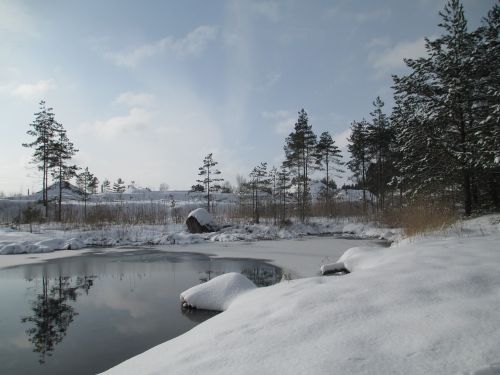 winter nature snow