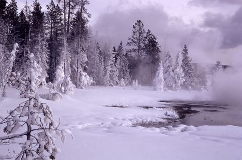 winter landscape snow
