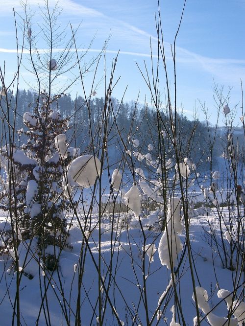 winter sun snow