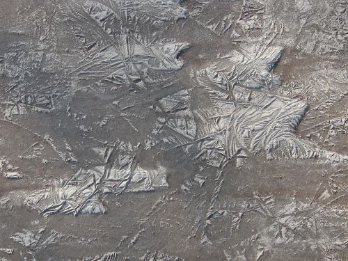 winter ice ice pattern