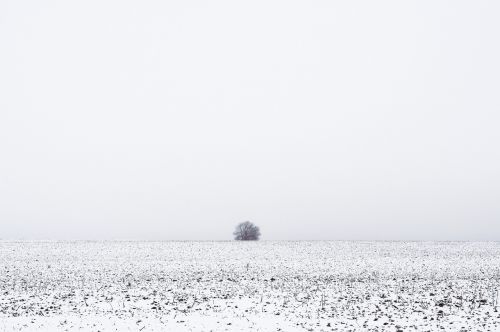 winter landscape frost