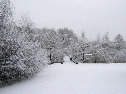 winter snow wintry