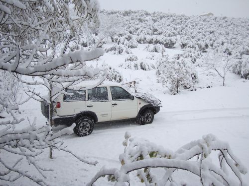 winter snow nature