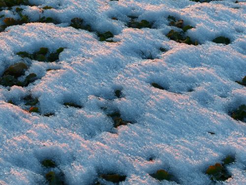 winter ground snow cover