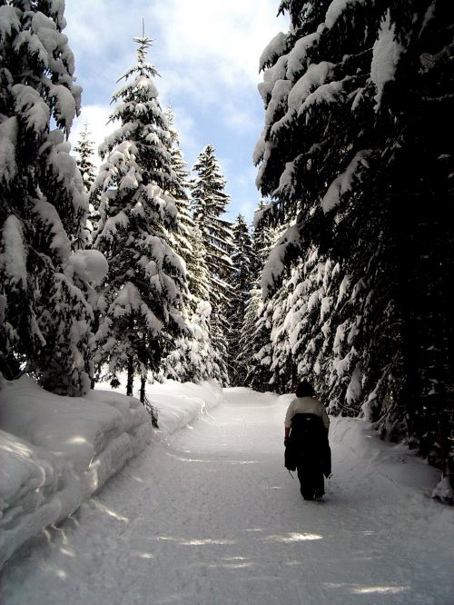 winter hiking snow