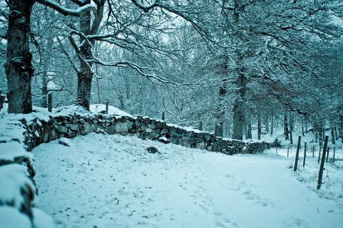 winter the garden farm snow