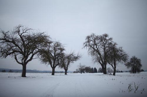 snow landscape frost wintry