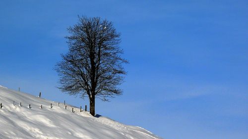 winter snow wintry