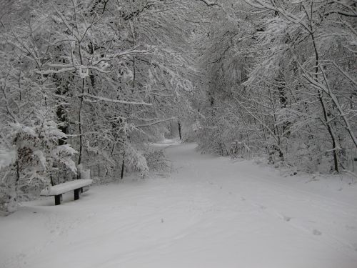 winter snow wintry