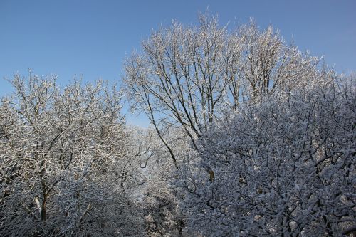 winter snow landscape