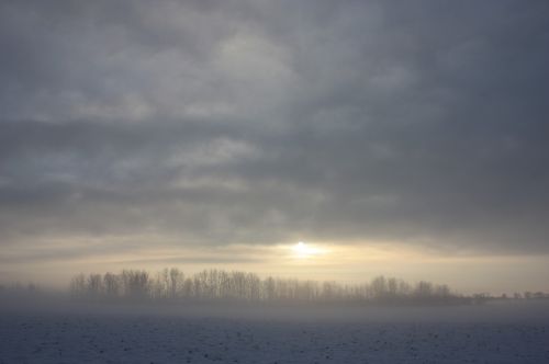 winter snow nature