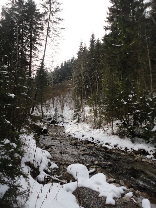 winter river nature